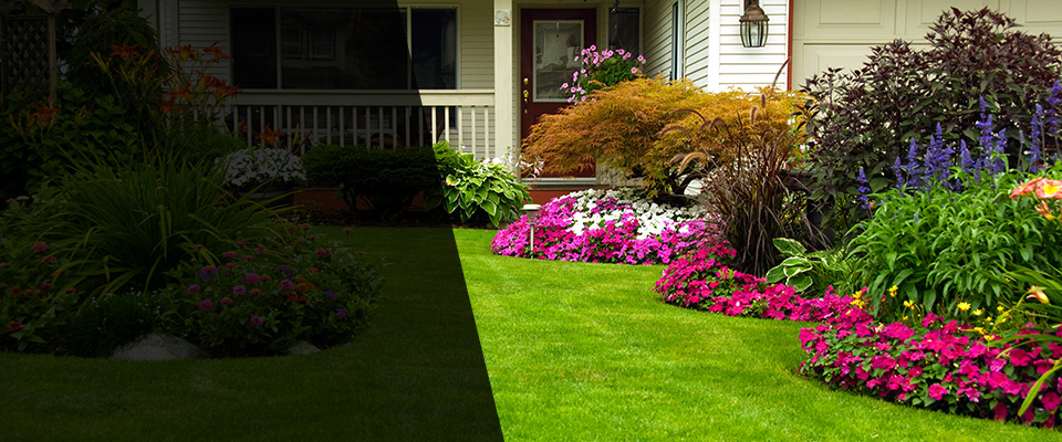 Wilmer Landscapers