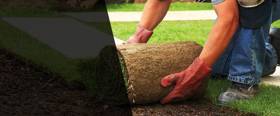 Wilmer Landscapers